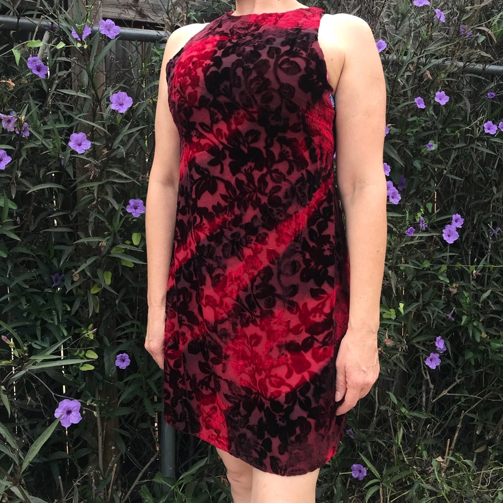 Red and black velvet dress
